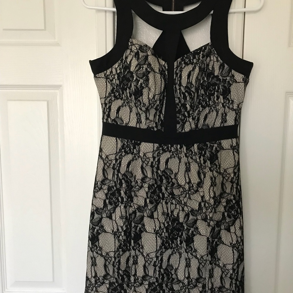 Elegant Sexy Cute Lace Dress. - Picture 2 of 8